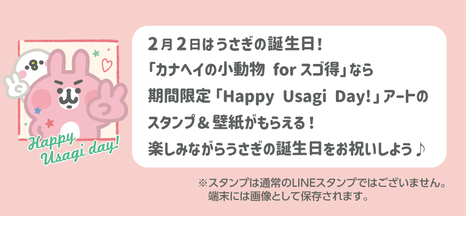 うさぎ誕生日