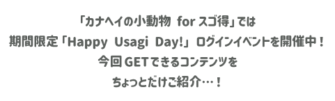 うさぎ誕生日